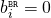 b_i^{\scriptscriptstyle \mathtt{BR}} = 0